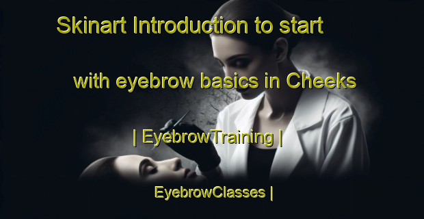 Skinart Introduction to start with eyebrow basics in Cheeks | EyebrowTraining | EyebrowClasses | SkinartTraining-United States